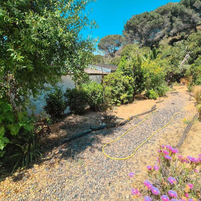 Suites Privadas | Naturaleza & Playa - Apartamento de 1 dormitorio - 12