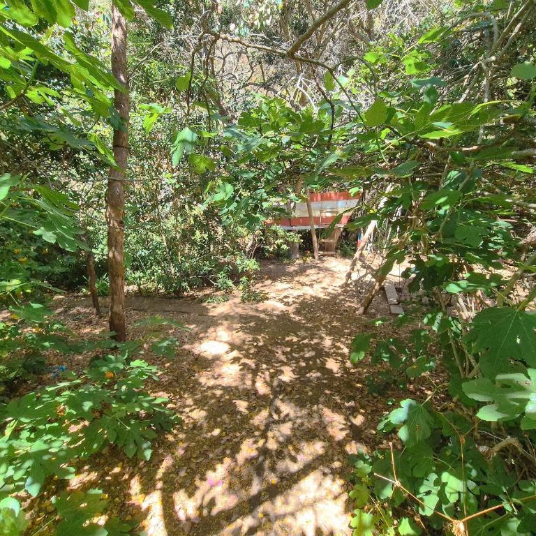 Suites Privadas | Naturaleza & Playa - Apartamento de 1 dormitorio - 20