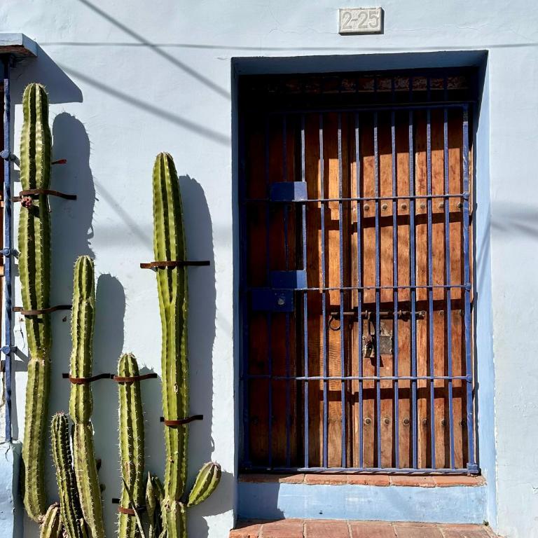 Casa Azul Tropical House by Xarm Apartments - Casa - 4
