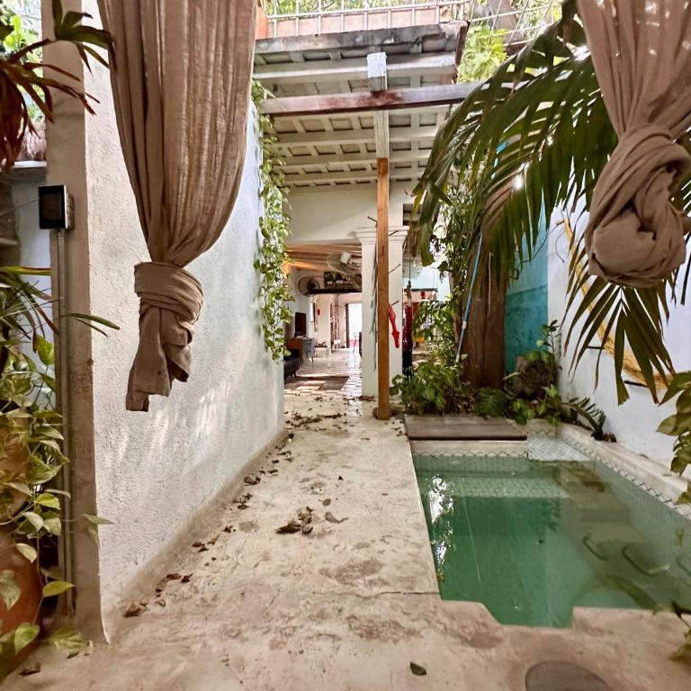 Casa Azul Tropical House by Xarm Apartments - Casa - 13