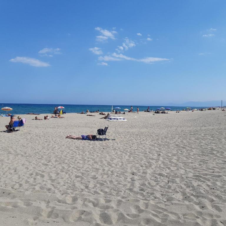 Villa Mitoyenne T2 avec Climatisation et Parking, Face à la Mer, 4 Pers - FR-1-798-58 - Appartement - 19