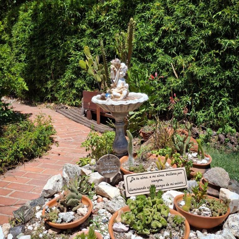 Cabaña 'Te para Tres' - Estudio Deluxe - 13