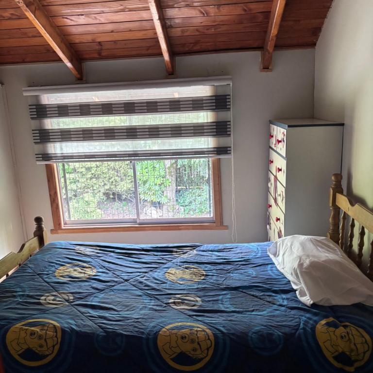 Casa Familiar Grande Pucón - hasta 15 personas - Vacation Home - 24
