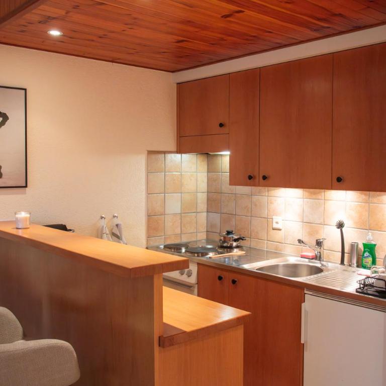 Pied de piste et à 5min des Bains d'Hérémence - Apartment mit 1 Schlafzimmer - 11