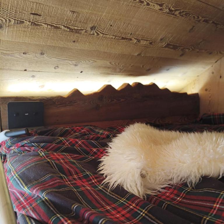 De Schoof, Mini-chalet walser avec une vue époustouflante - Chalet con 1 Camera da Letto - 1