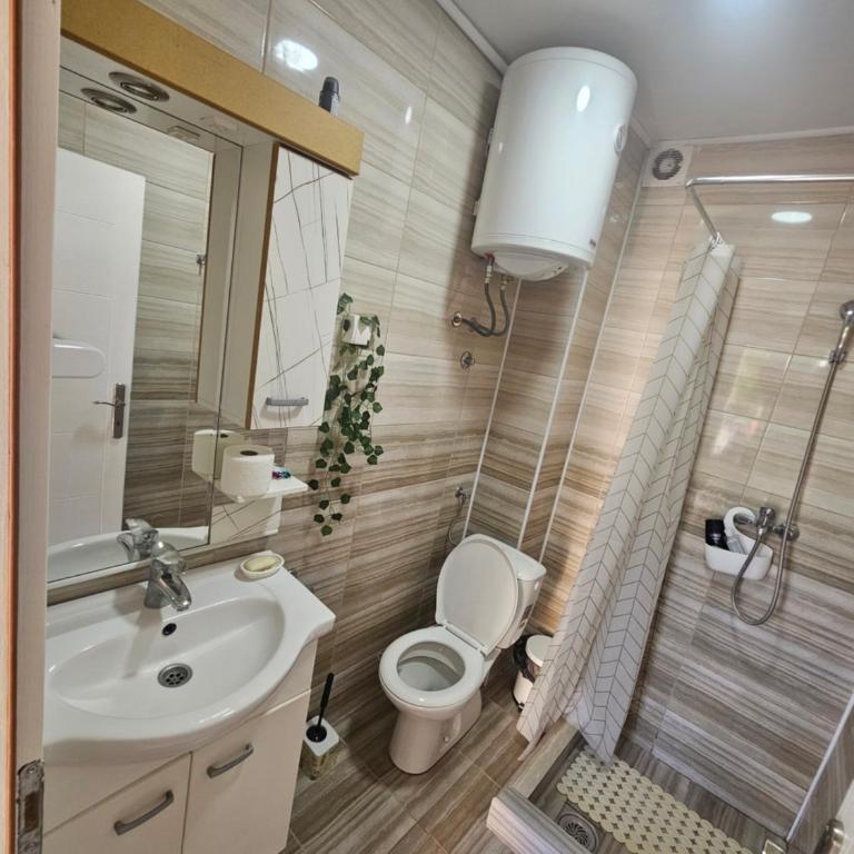 Apartman Sokobanja - Apartman sa 1 Spavaćom Sobom - 11