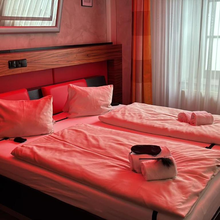 Workers Castle Apartments für die besten Monteure - Deluxe Doppelzimmer mit Bad - 9