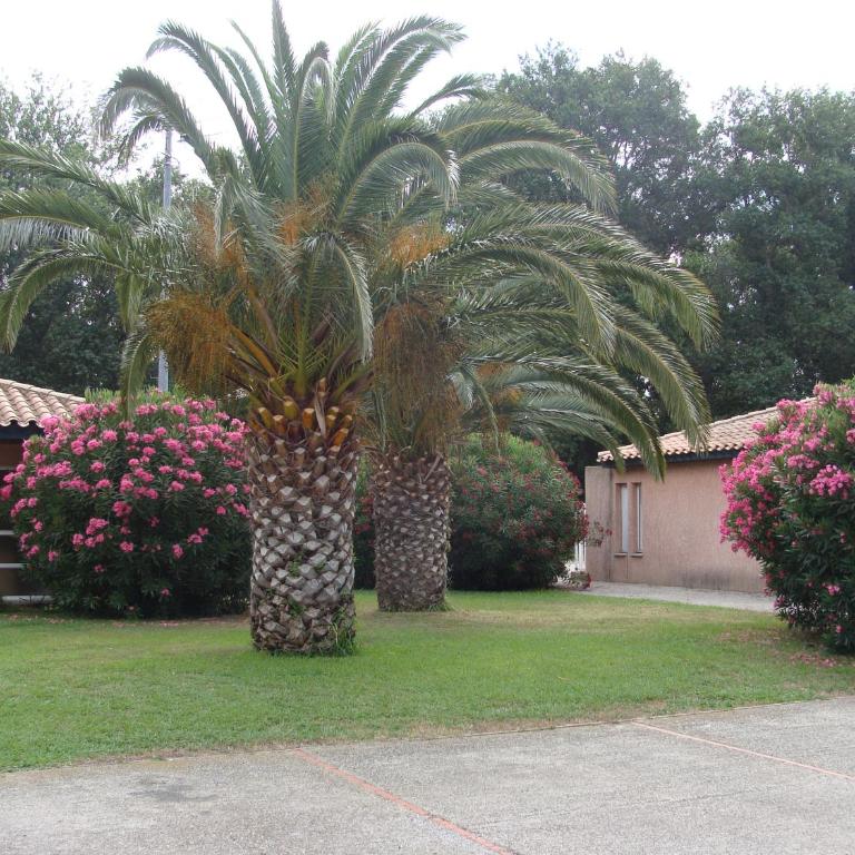 Gîte classé 3 étoiles dans résidence standing avec - Piscine Clim Parking Wifi Prêt Vélos - Ménage et linge non inclus - Apartment with Terrace - 32