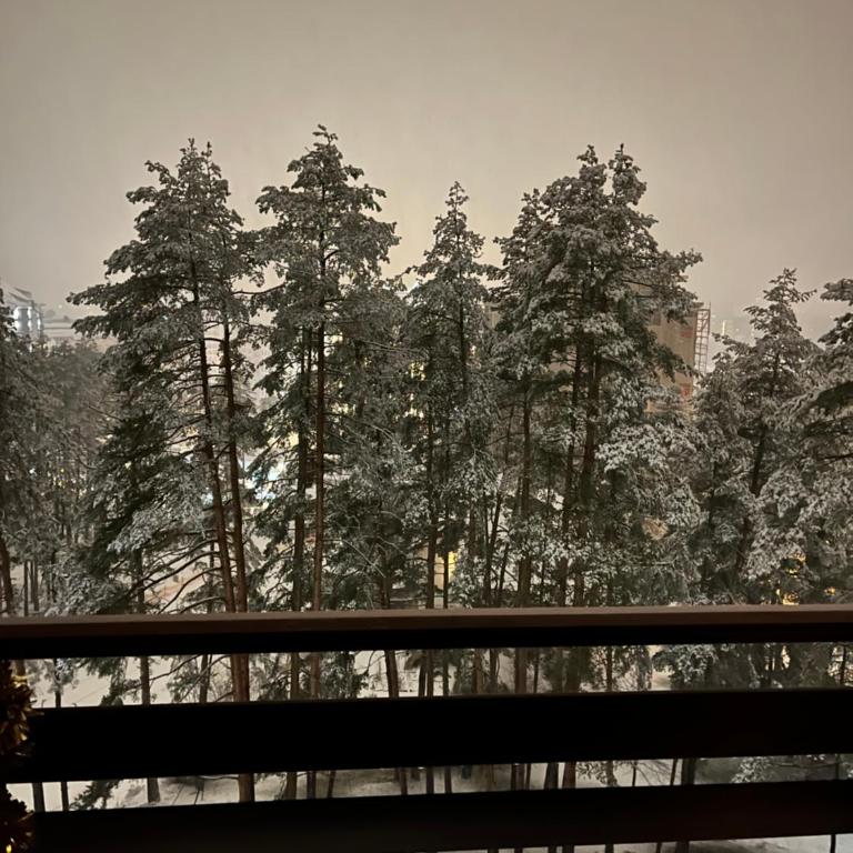 BalkanHill2 S37 Pekovic green - Apartman sa 1 Spavaćom Sobom - 34