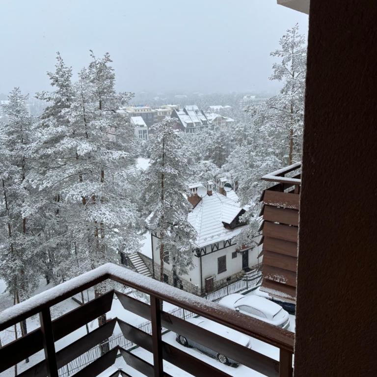 BalkanHill2 S37 Pekovic green - Apartman sa 1 Spavaćom Sobom - 33