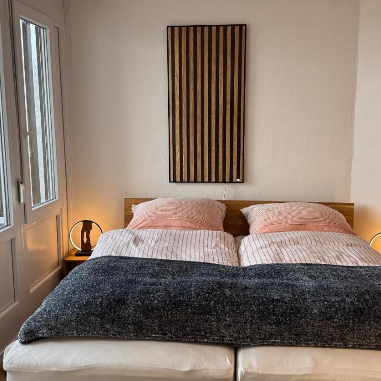 AlpinLounge Scheidegg - Studio mit Wellness und Bergblick - Appartamento con 1 Camera da Letto - 9