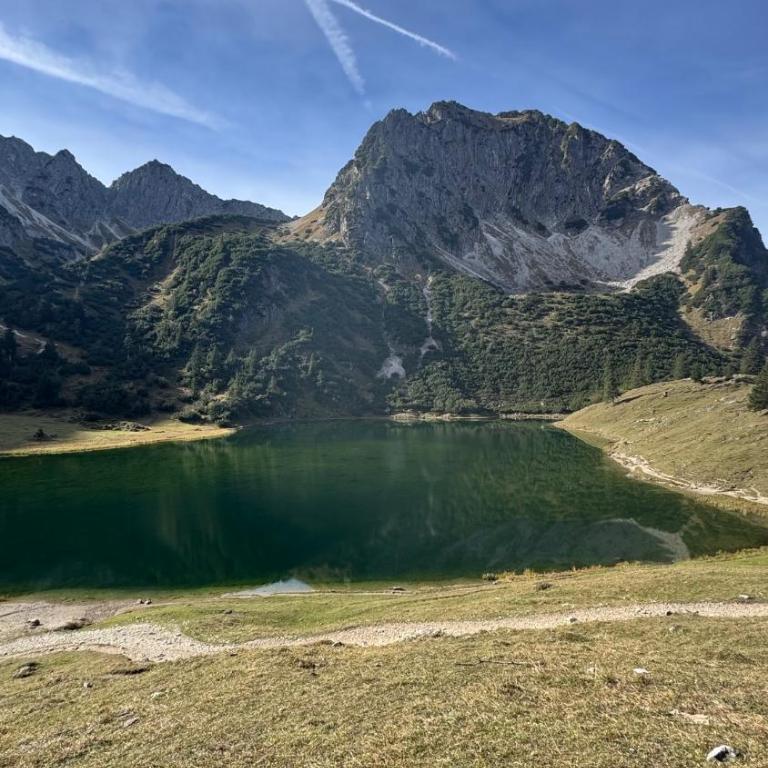 AlpinLounge Scheidegg - Studio mit Wellness und Bergblick - Appartamento con 1 Camera da Letto - 21