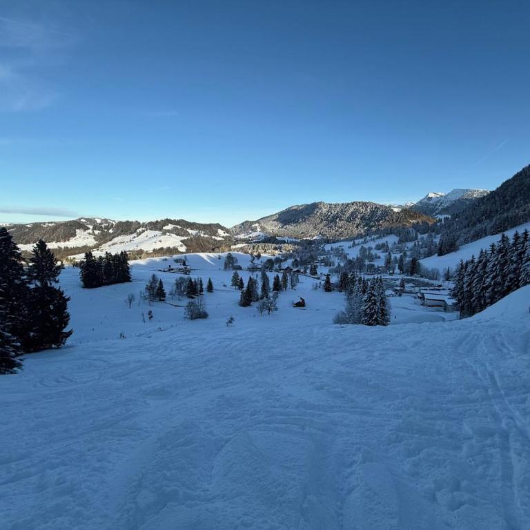 AlpinLounge Scheidegg - Studio mit Wellness und Bergblick - Appartamento con 1 Camera da Letto - 23