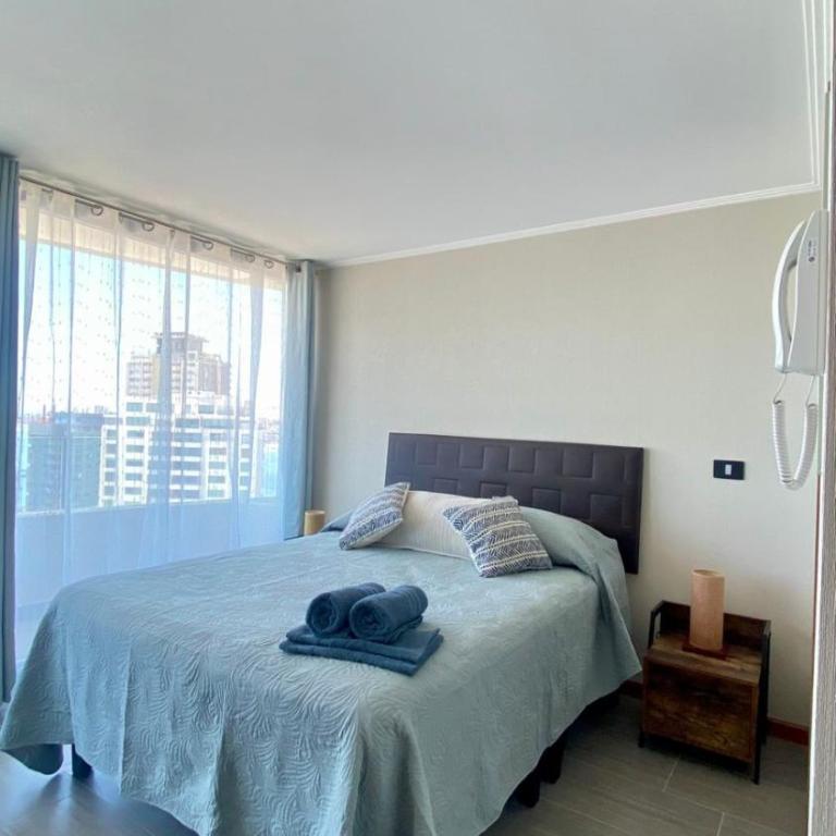 Nice studio in a new building - One-Bedroom Apartment - 1