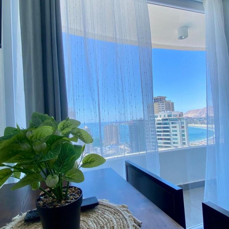 Nice studio in a new building - One-Bedroom Apartment - 4