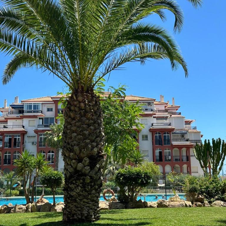 Mar Y Sol Relax - Apartamento de 1 dormitorio - 3