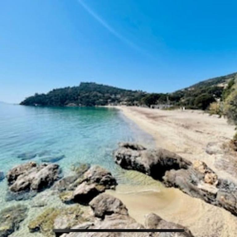 Grand studio 28m2 terrasse vue mer 180 - Plein Sud - Piscine - clim - Parking - Appartement 1 Chambre de Luxe - Vue sur Port - 30