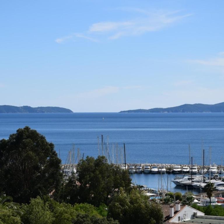 Grand studio 28m2 terrasse vue mer 180 - Plein Sud - Piscine - clim - Parking - Appartement 1 Chambre de Luxe - Vue sur Port - 37