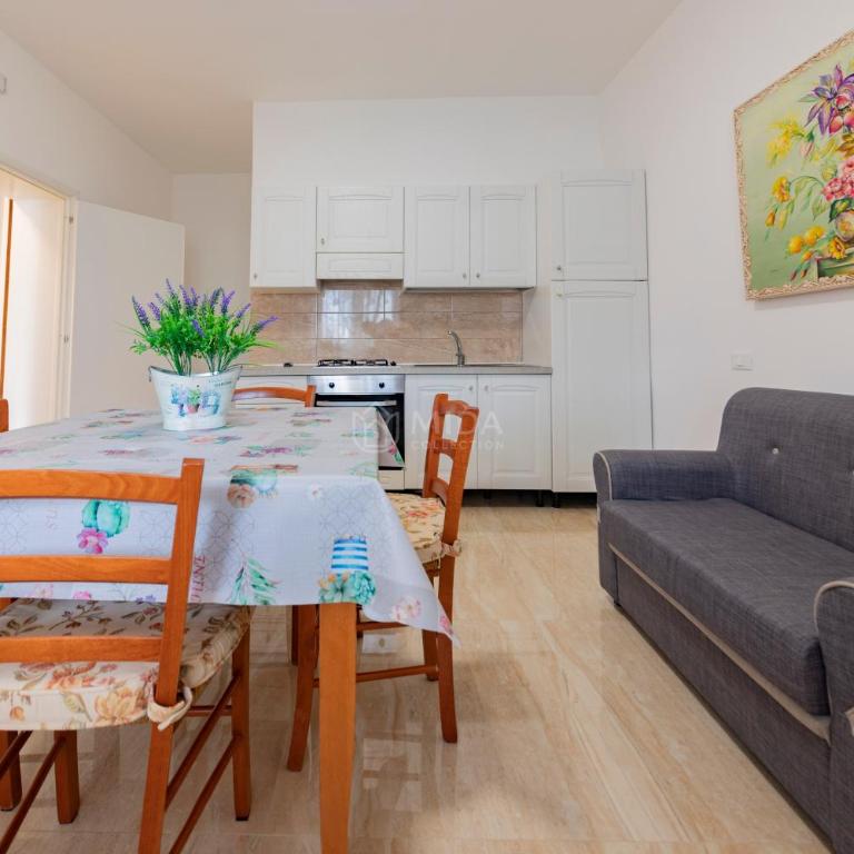 Life Tree - Bruna SH - One-Bedroom Apartment - 2