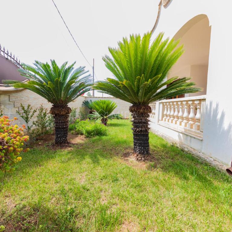 Life Tree - Bruna SH - One-Bedroom Apartment - 11