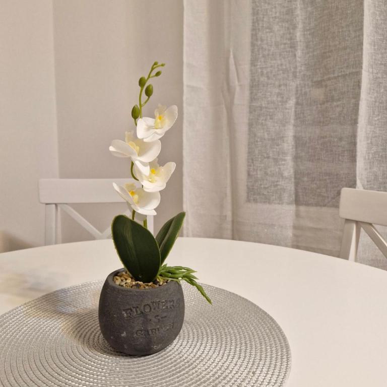 Pollaris - Apartman sa 1 Spavaćom Sobom - 2