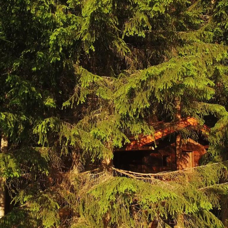 Cabane entre terre et ciel - Cabane dans les Arbres Mont-Blanc - 2