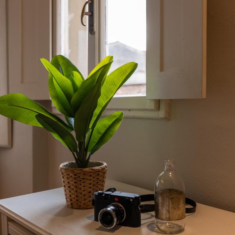 Maffia Simple Apartment - Appartamento con 1 Camera da Letto - 22