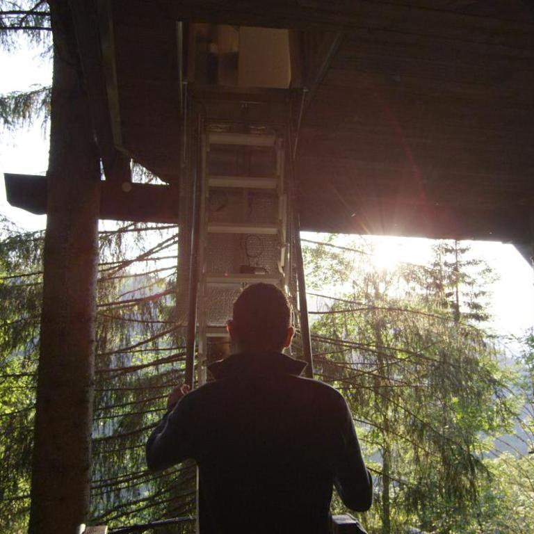 Cabane entre terre et ciel - Cabane dans les Arbres Nid - 3