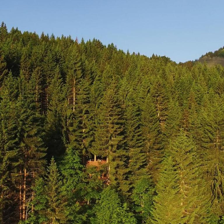 Cabane entre terre et ciel - Cabane dans les Arbres Nid - 4
