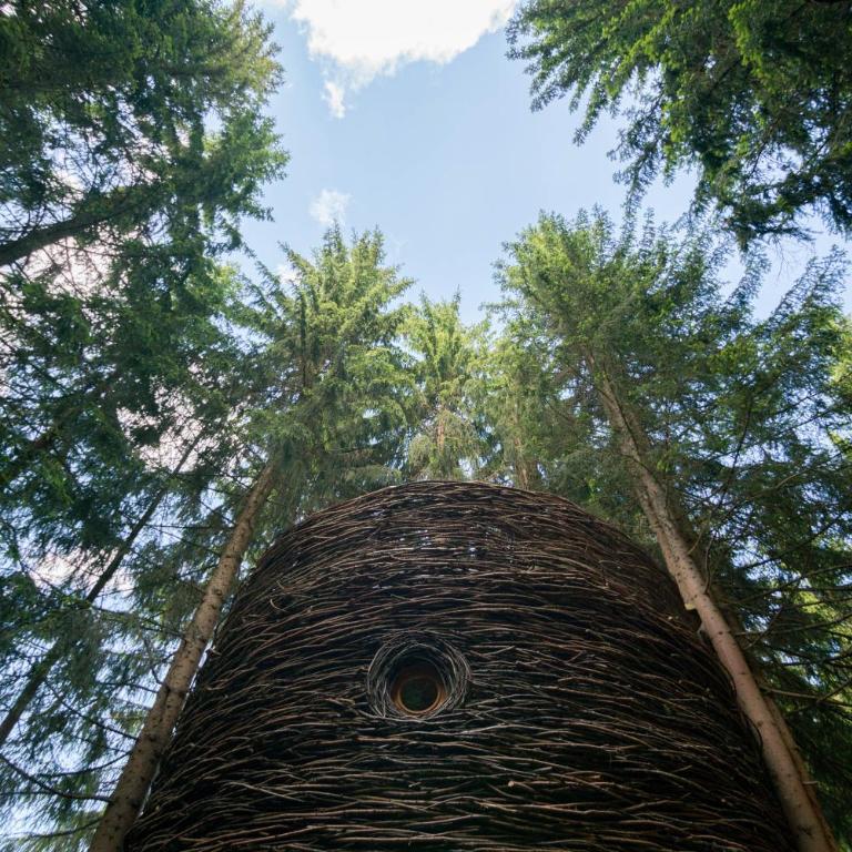Cabane entre terre et ciel - Cabane dans les Arbres Nid - 1