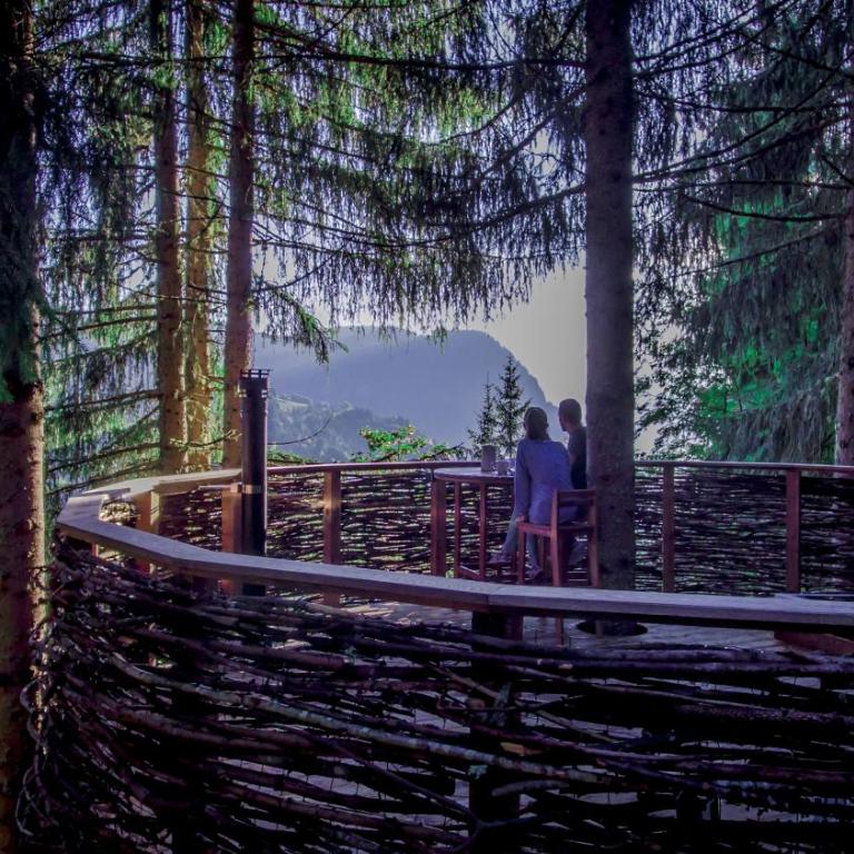 Cabane entre terre et ciel - Cabane dans les Arbres Nid - 6