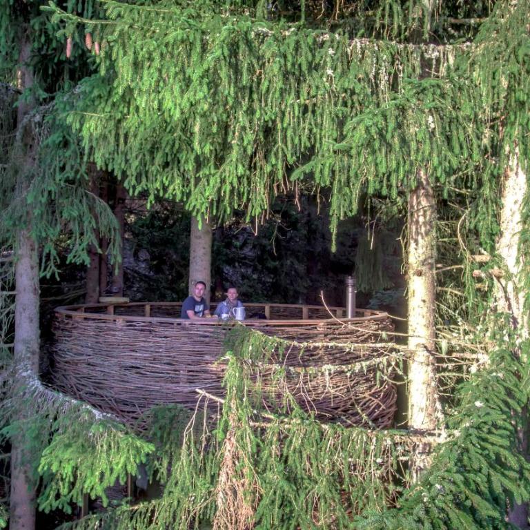 Cabane entre terre et ciel - Cabane dans les Arbres Nid - 7