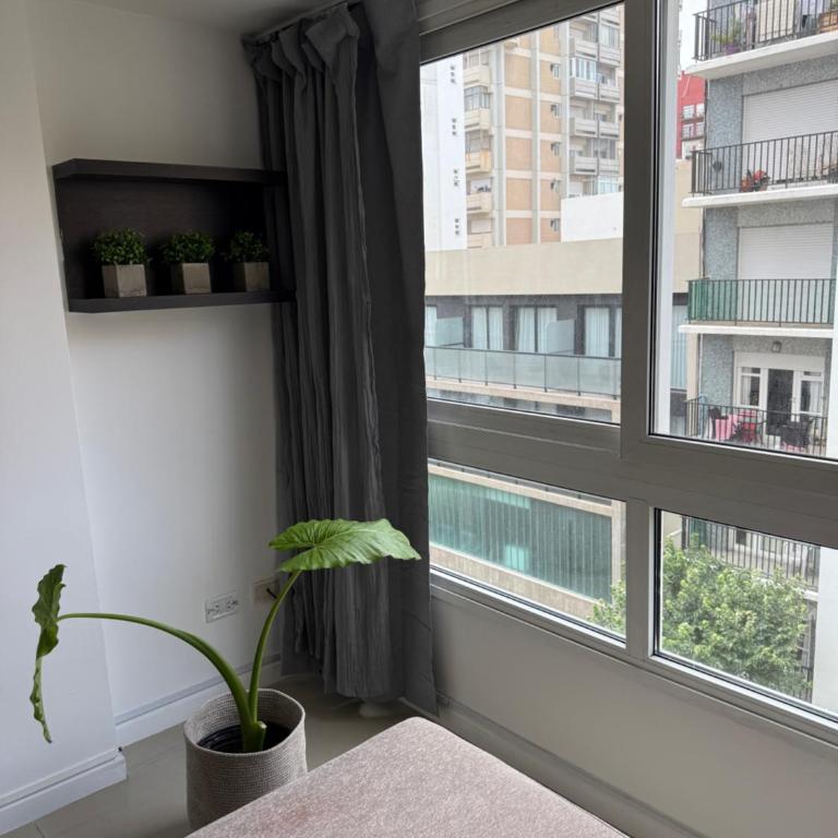 Tu lugar en Mar del Plata 2 Amb - Apartamento de 2 dormitorios - 12