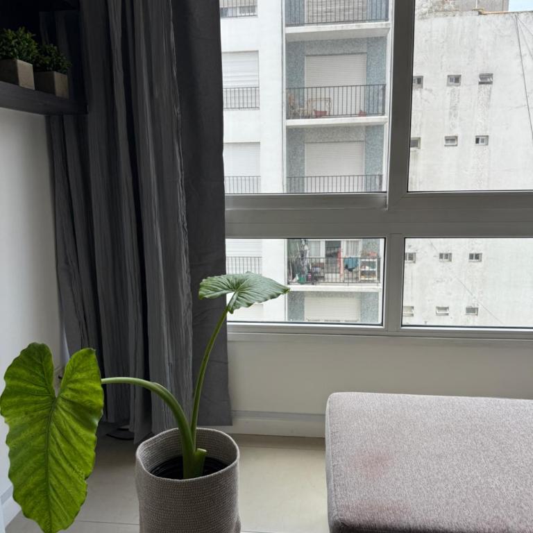 Tu lugar en Mar del Plata 2 Amb - Apartamento de 2 dormitorios - 13