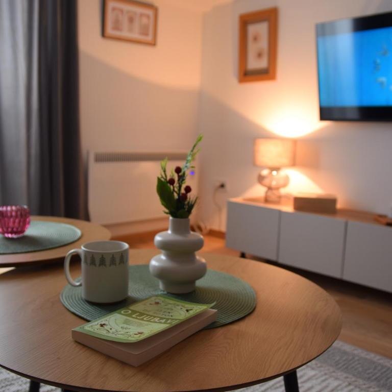 Apartman Rujno - Apartman sa 1 Spavaćom Sobom - 10