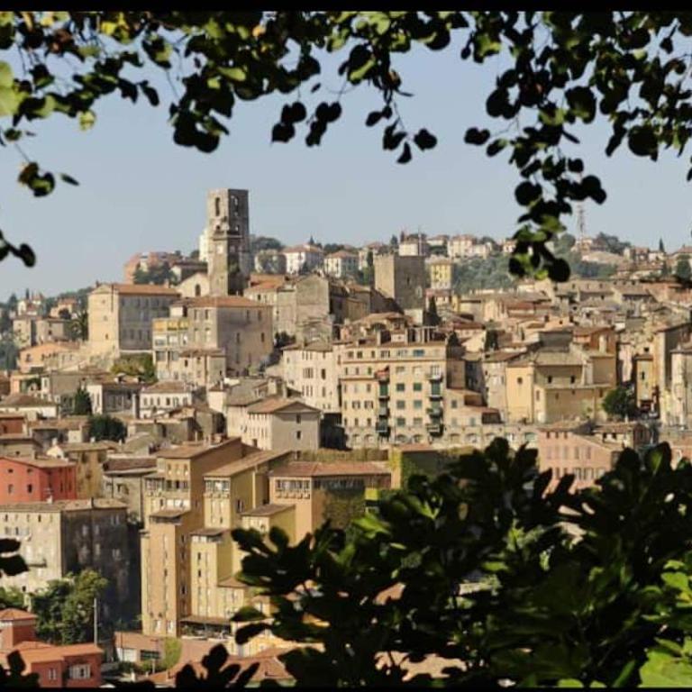 New - Appartement ou Studio Centre Ville Confort - Studio - 6