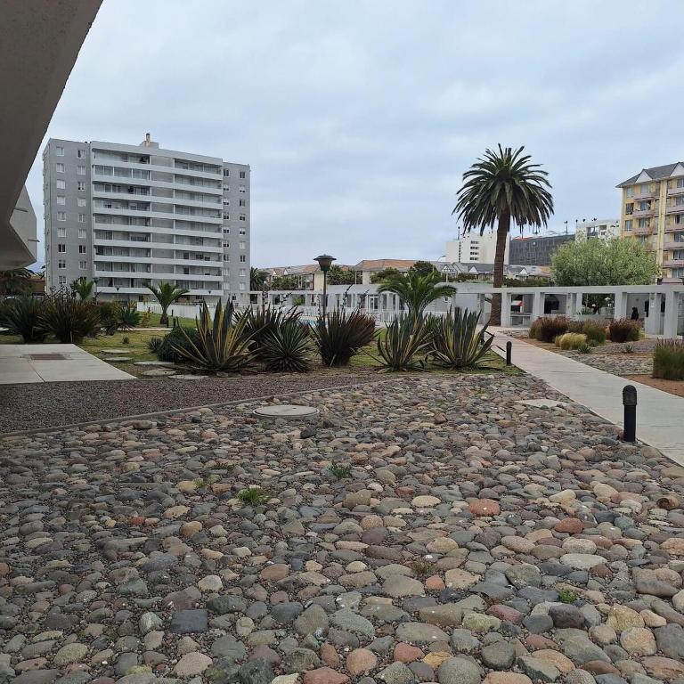 Arriendo Departamento en la Serena a una cuadra de la playa - Apartamento de 1 dormitorio - 15