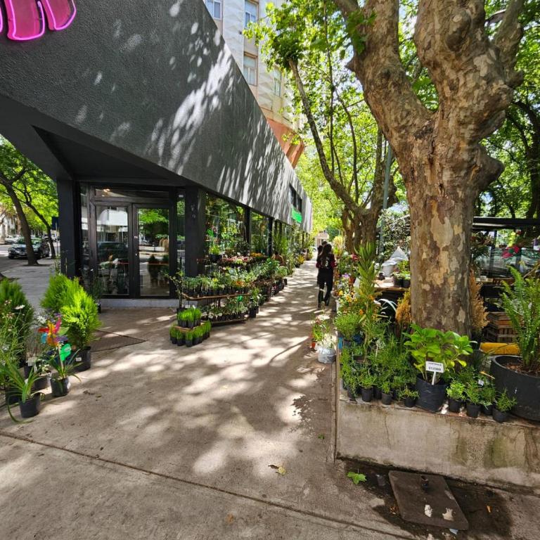 2 ambientes amplios en el centro - Two-Bedroom Apartment - 35