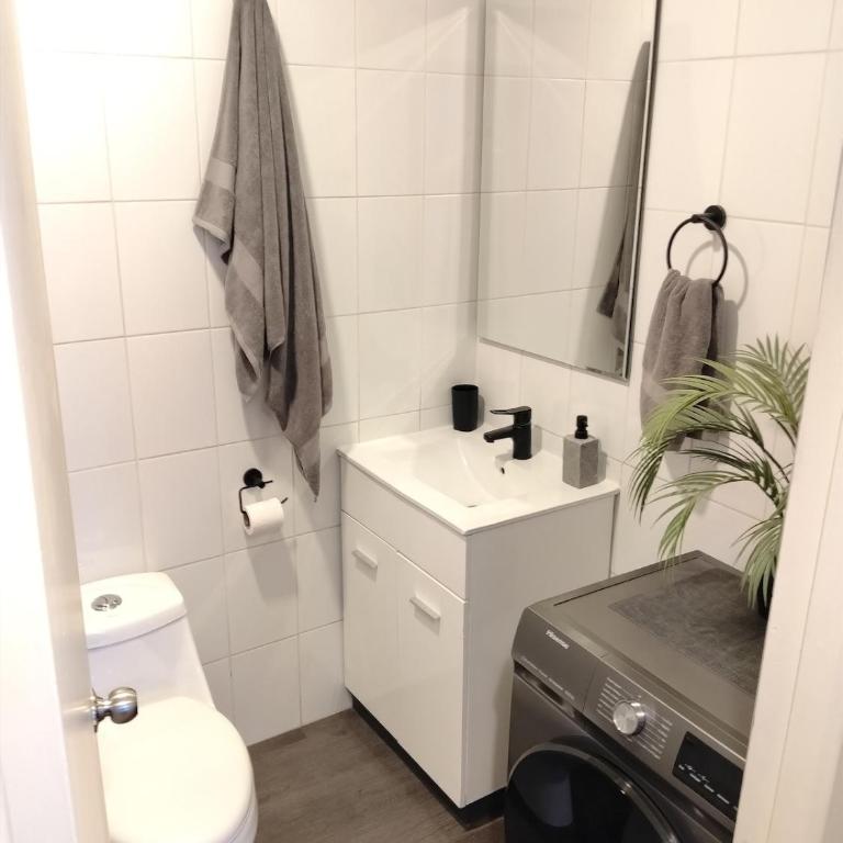 Depto Completo centro Viña del Mar - Two-Bedroom Apartment - 27