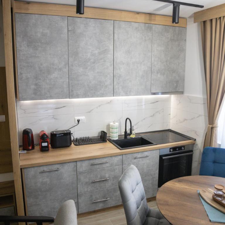 Apartmens in Kopaonik - One-Bedroom Family Apartment - 4