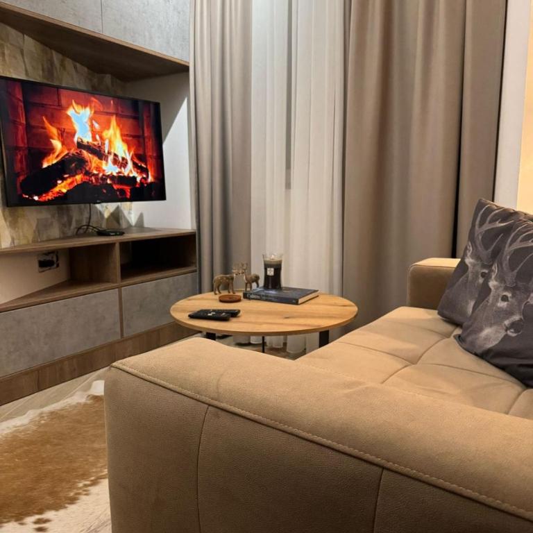 Apartmens in Kopaonik - One-Bedroom Premier Apartment - 1