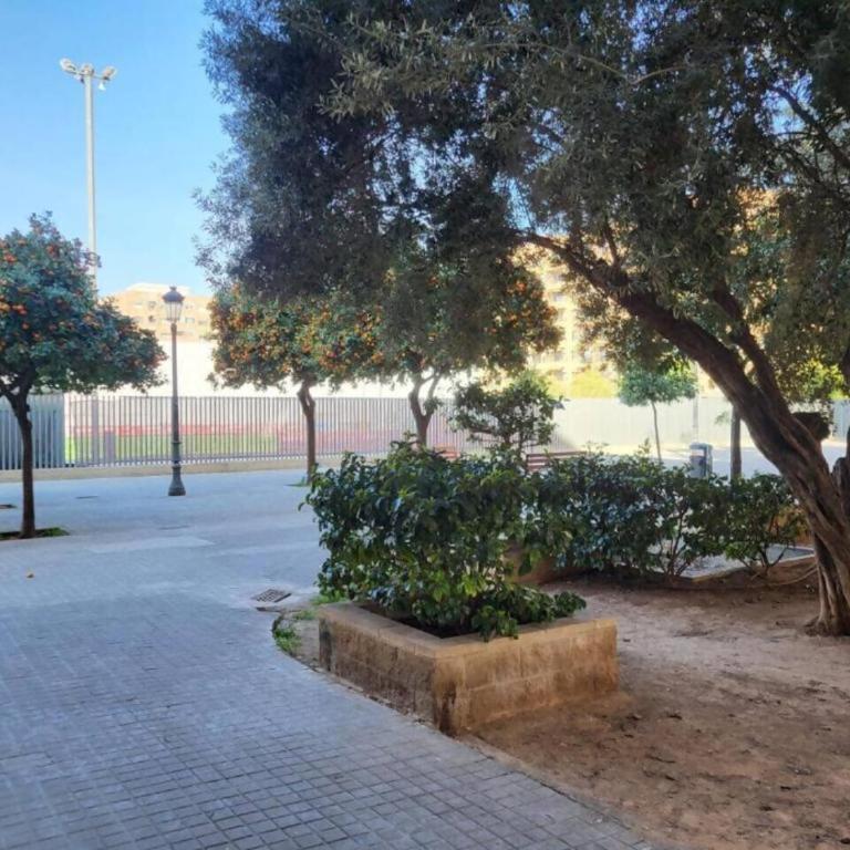 Suite de diseño en Roig Arena - One-Bedroom Apartment - 32