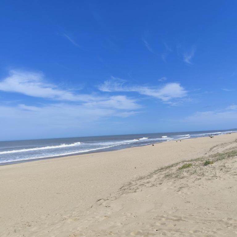 Casa Ocean Park - Two-Bedroom House - 41