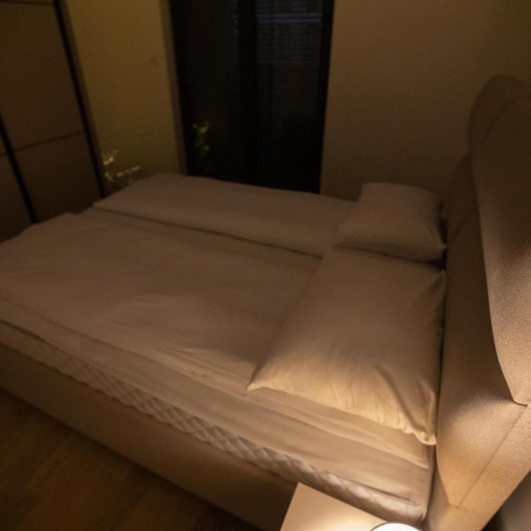 Apartman Central X - Apartman s 1 Spavaćom Sobom i Balkonom - 23