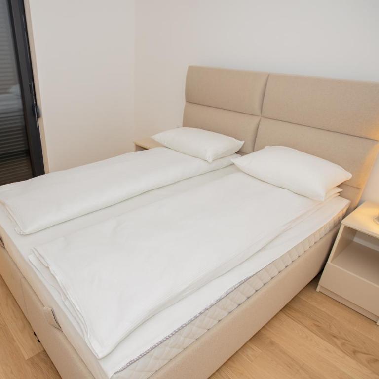 Apartman Central X - Apartman s 1 Spavaćom Sobom i Balkonom - 22