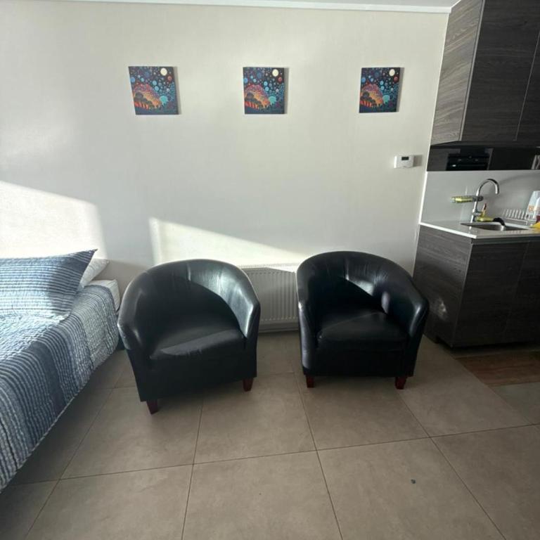 Beautiful loft with ocean views in Reñaca - One-Bedroom Apartment - 16