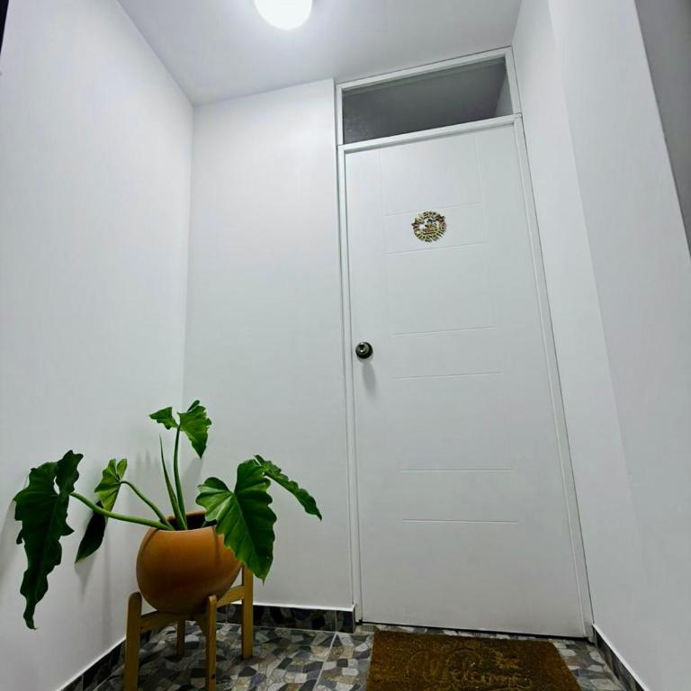 Comfortable House - Three-Bedroom House - 50