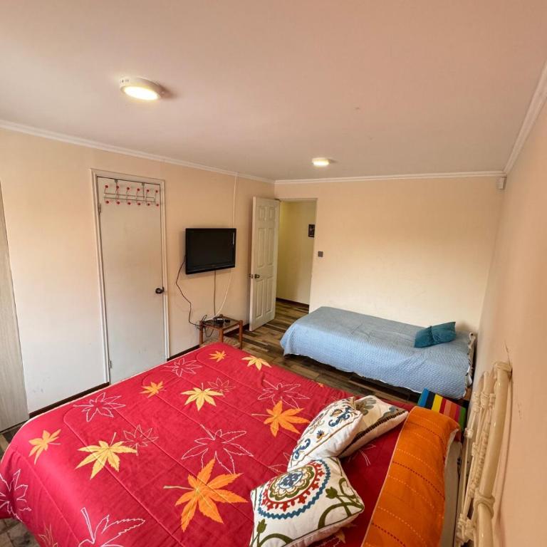 Vive El Canelo Casa con acceso directo al bosque el canelo y playas - Casa de 3 dormitorios - 8