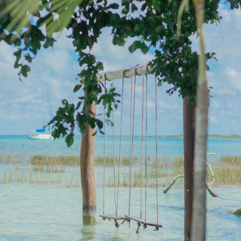 Departamentos Blue Bacalar - Apartamento de 1 dormitorio - 31