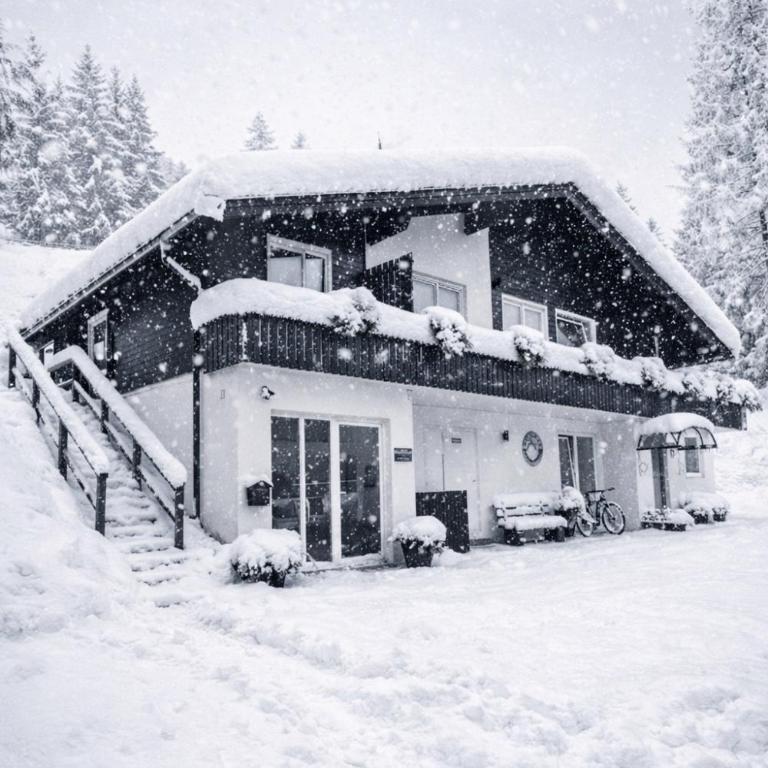 WALDVILLA Bad Kleinkirchheim - Familien-Apartment mit 2 Schlafzimmern - 1